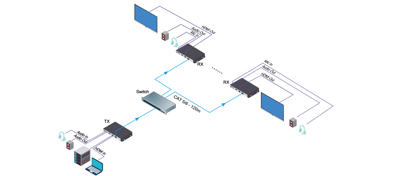 Point to Multi-point Transmission